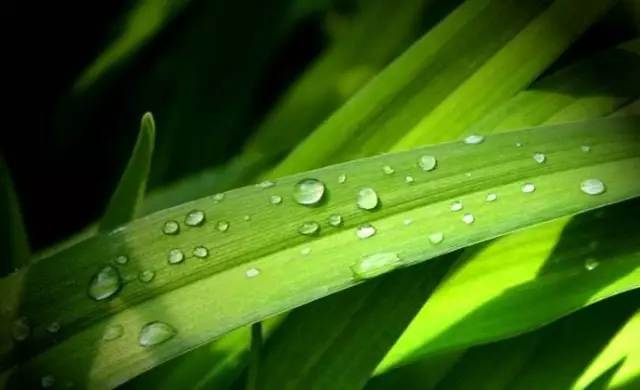 白露丨與CR-V一起，品味秋天的氣息