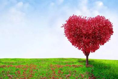 愛心灑人間，走進(jìn)新時(shí)代..........倒計(jì)時(shí)兩天