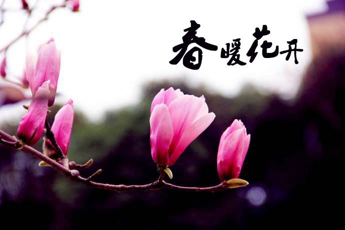 春暖花開(kāi) 教你春季如何做汽車(chē)保養(yǎng)！