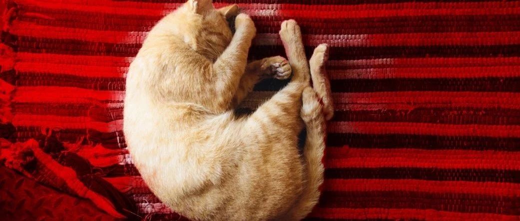 人類發(fā)展的動力，除了懶，還有對舒適的追求