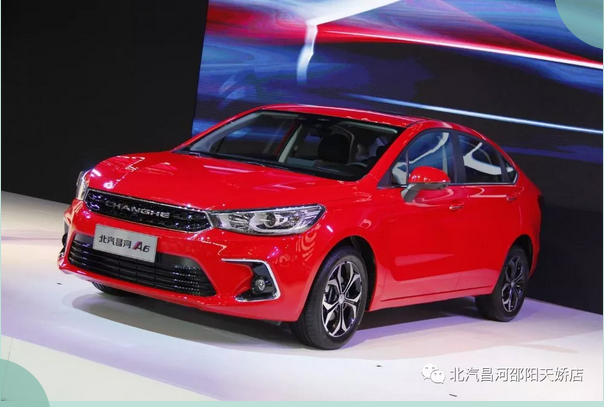 不負(fù)春光 | 最美出行季，拍檔在這里！