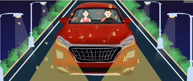 安全清除車身飛蟲，僅需十分鐘