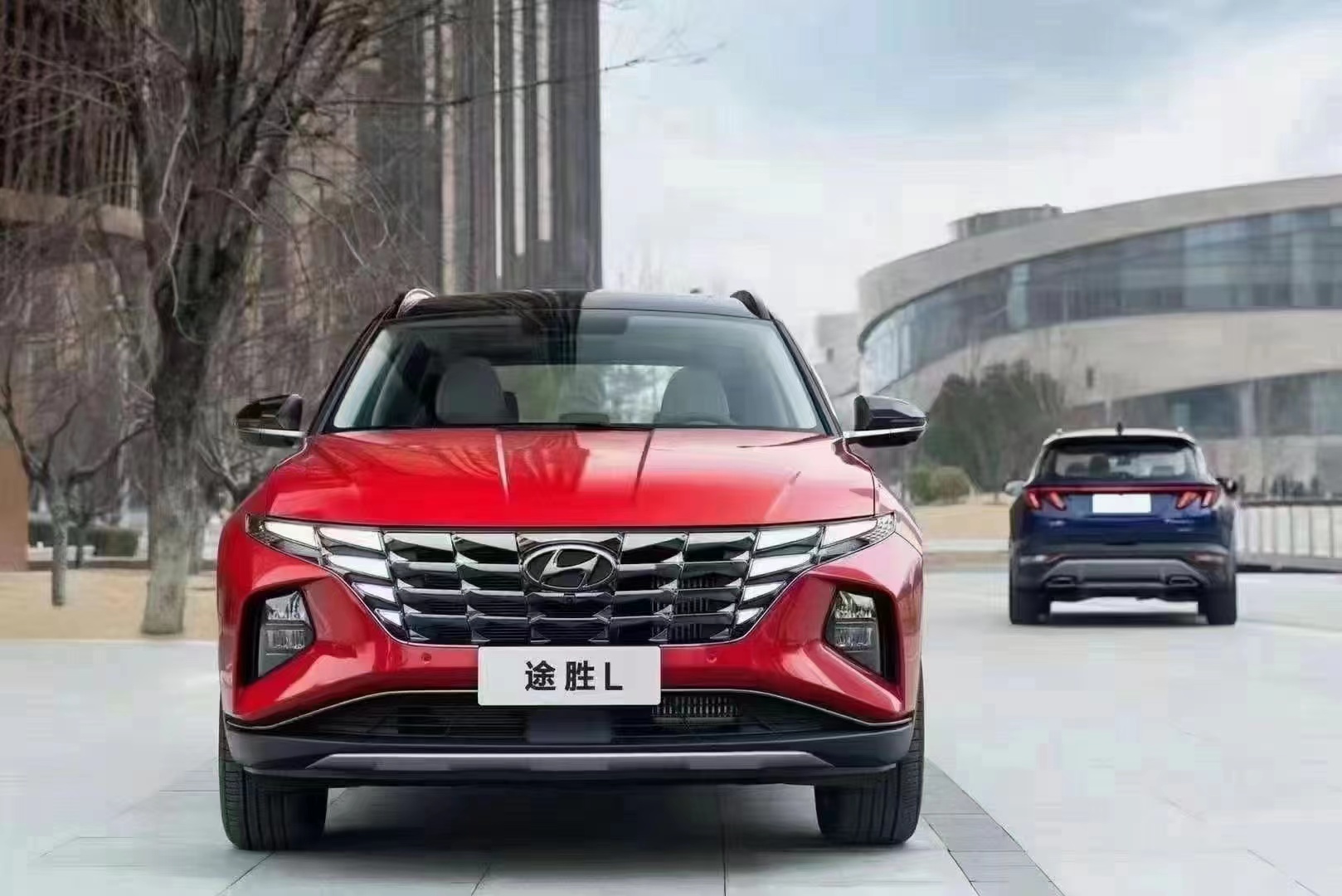 如何呵護(hù)家人，看這兒！